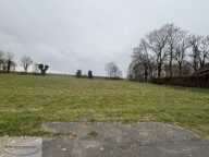 Terrain — photo 2