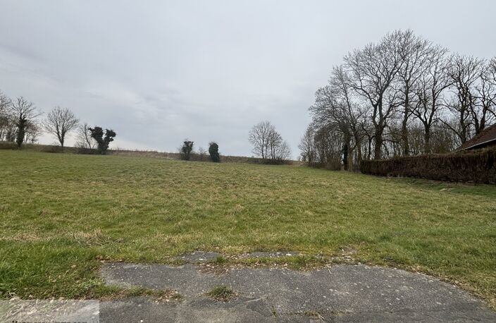 Terrain — photo 2