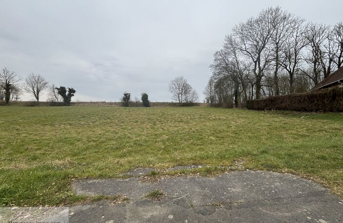 Terrain — photo 3