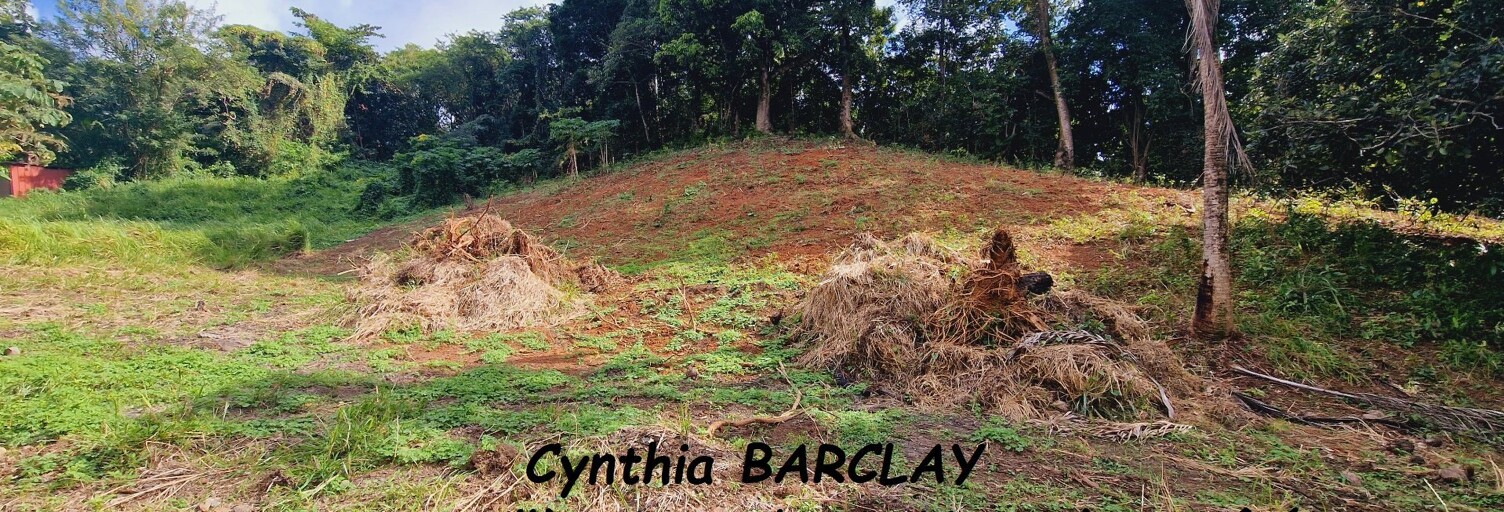 Terrain  1912 m² à vendre à Le François (97240)