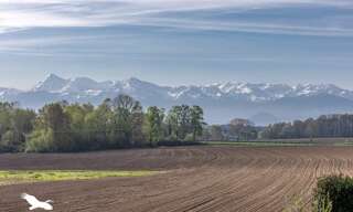 Maison 4 Pièces 141 m² à vendre à Luquet (65320)