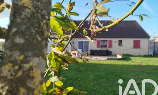 Maison 6 Pièces 122 m² à vendre à Beauce la Romaine (41240)