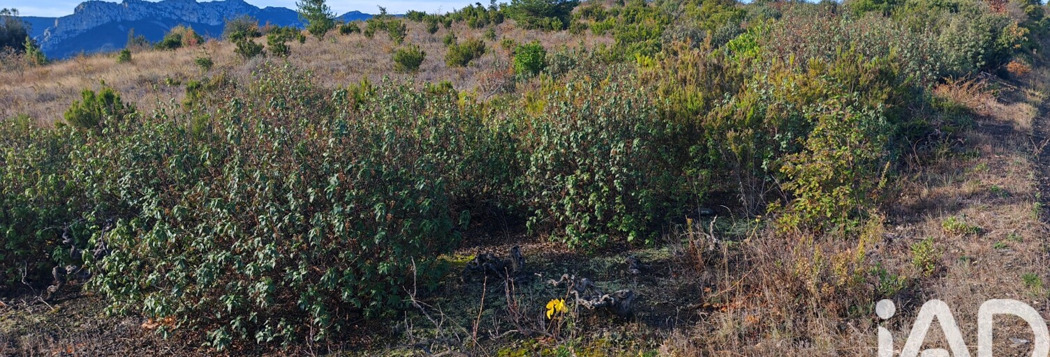 Terrain  5805 m² à vendre à Saint-Paul-de-Fenouillet (66220)