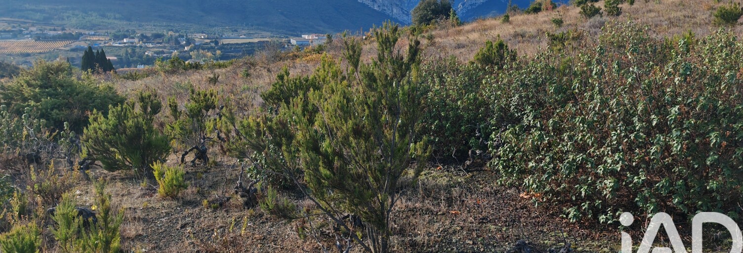 Terrain  3110 m² à vendre à Saint-Paul-de-Fenouillet (66220)