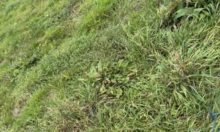 Terrain  577 m² à vendre à Faverges-de-la-Tour (38110)