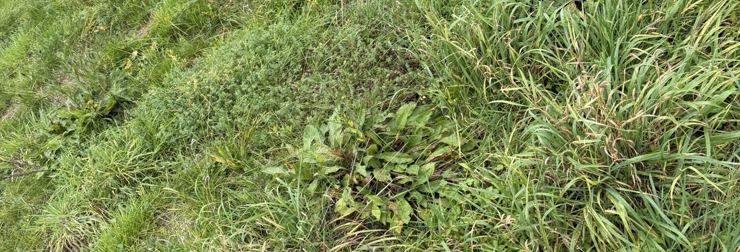 Terrain  577 m² à vendre à Faverges-de-la-Tour (38110)