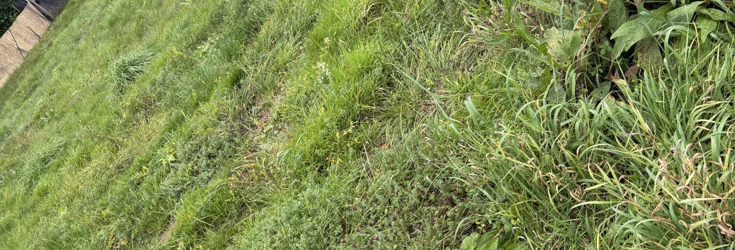 Terrain  568 m² à vendre à Faverges-de-la-Tour (38110)