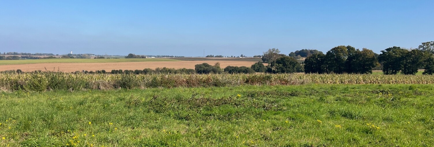 Terrain  885 m² à vendre à Noyal-Pontivy (56920)