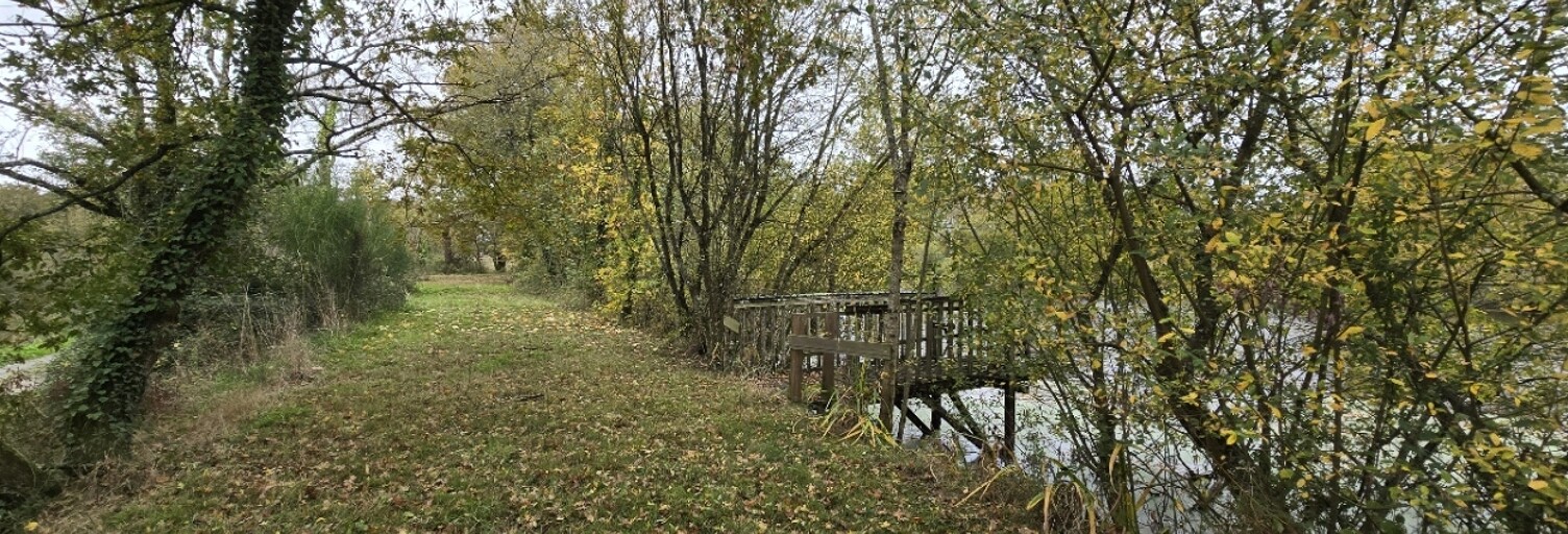 Terrain  7400 m² à vendre à Boussais (79600)