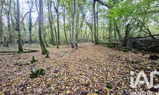 Terrain  25548 m² à vendre à Saint-Hilaire-Saint-Mesmin (45160)