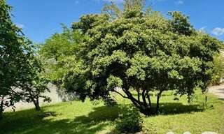 Terrain  950 m² à vendre à Aubignan (84810)