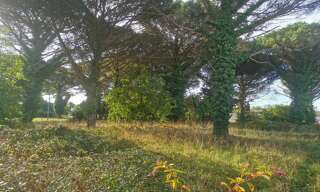 Terrain  1030 m² à vendre à Langon (33210)