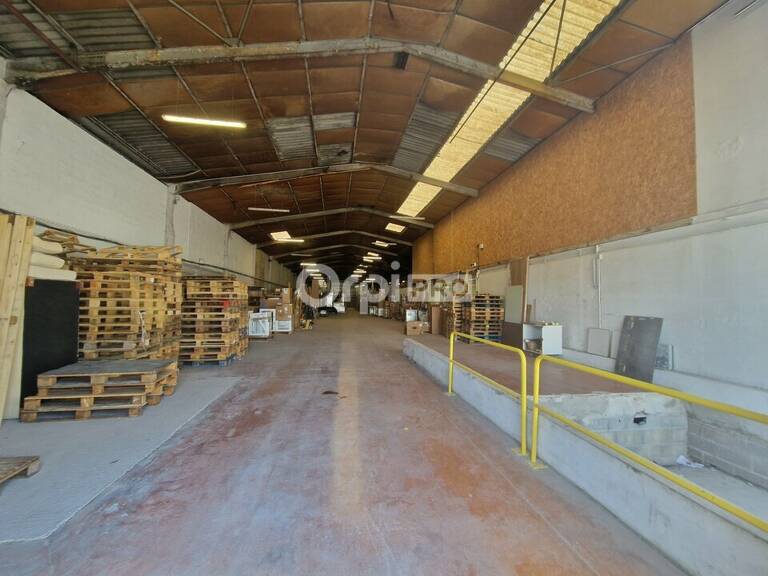 LOCAL PROFESSIONNEL A LOUER — photo 1
