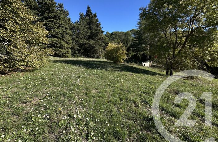 Vente terrain  1653 m² Mougins (06250) — photo 3