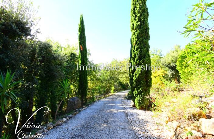 Vente Villa Néoules (83136) – 164 m² sur Parc de 4 500 m² – Piscine & Calme Absolu — photo 4