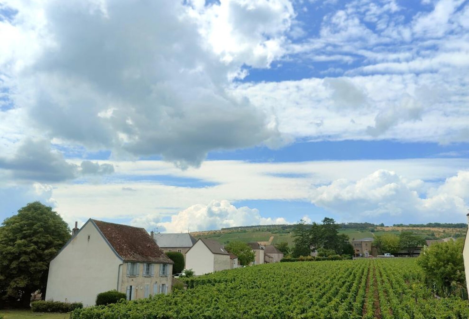 VOSNE-ROMANÉE – MAISON BOURGUIGNONNE AVEC VUE SUR LES VIGNES ET POTENTIEL PROFESSIONNEL — photo 1