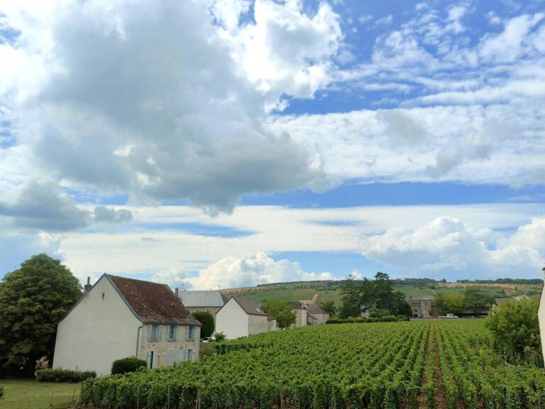 VOSNE-ROMANÉE – MAISON BOURGUIGNONNE AVEC VUE SUR LES VIGNES ET POTENTIEL PROFESSIONNEL — photo 1