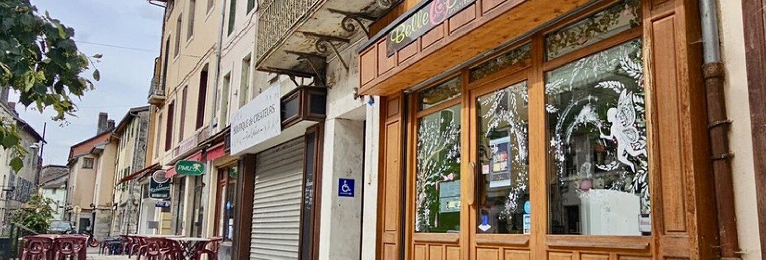 Commerce 3 Pièces 50 m² à vendre à Seyssel (01420)