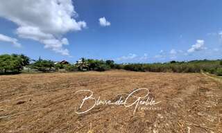 Terrain  6000 m² à vendre à Saint-François (97118)