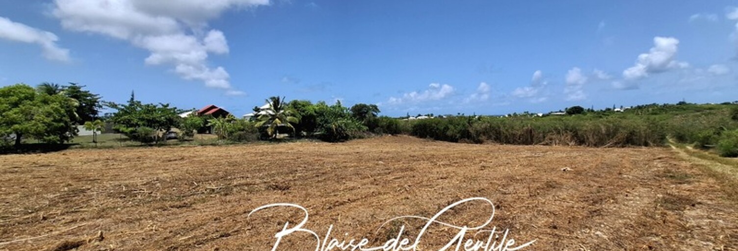 Terrain  6000 m² à vendre à Saint-François (97118)