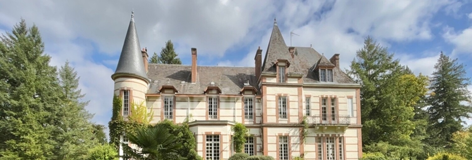 Maison 25 Pièces 700 m² à vendre à Aubigny-sur-Nère (18700)