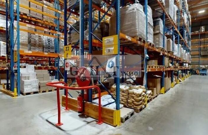 9000 m² entrepot bureaux à vendre — photo 2