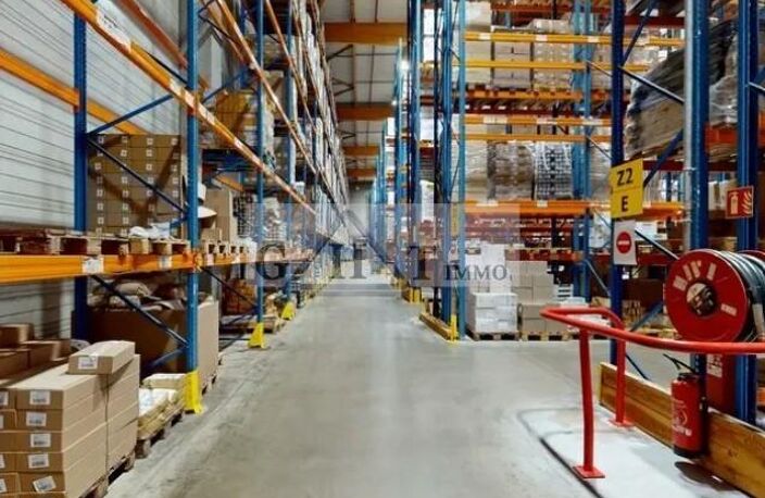 9000 m² entrepot bureaux à vendre — photo 3
