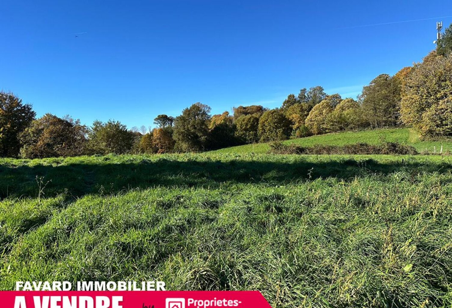 Terrain 8 903 m² - Saint-Sornin-Lavolps (à 2 pas de Pompadour) — photo 1