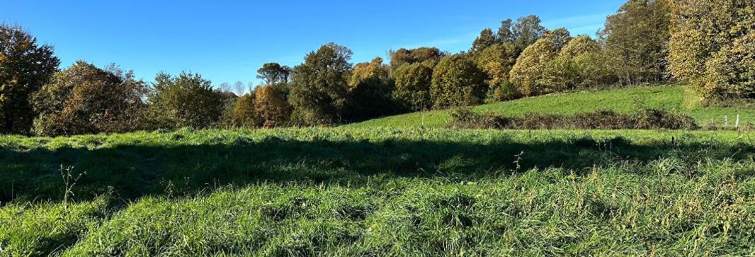 Terrain  8903 m² à vendre à Saint-Sornin-Lavolps (19230)