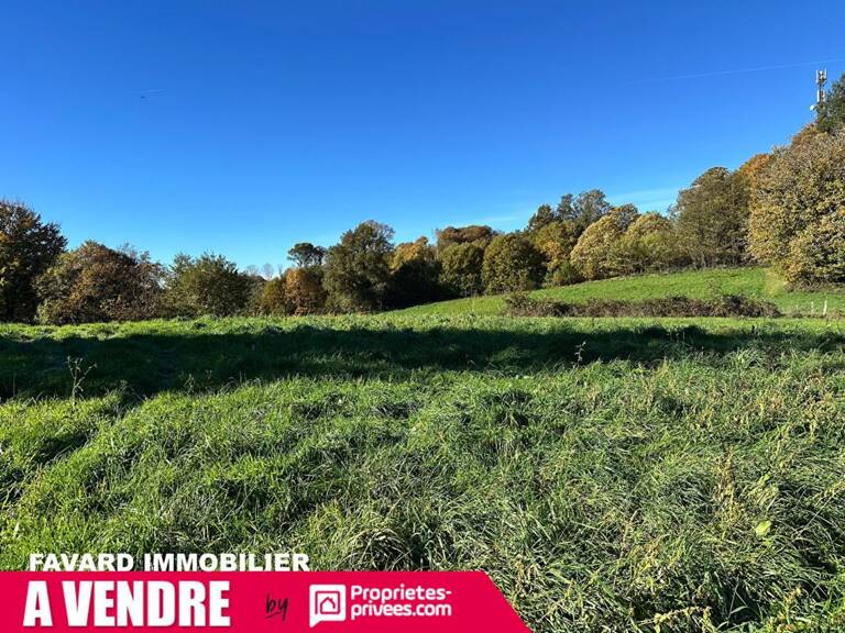 Terrain 8 903 m² - Saint-Sornin-Lavolps (à 2 pas de Pompadour) — photo 1