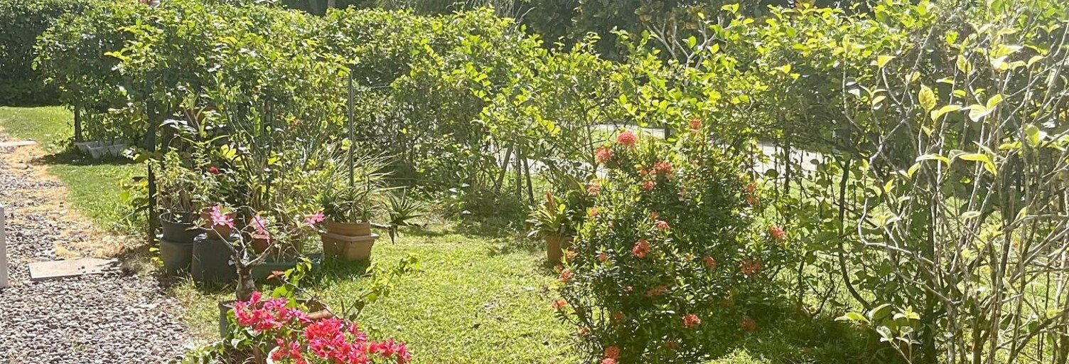 Appartement 3 Pièces 53 m² à vendre à Fort-de-France (97200)