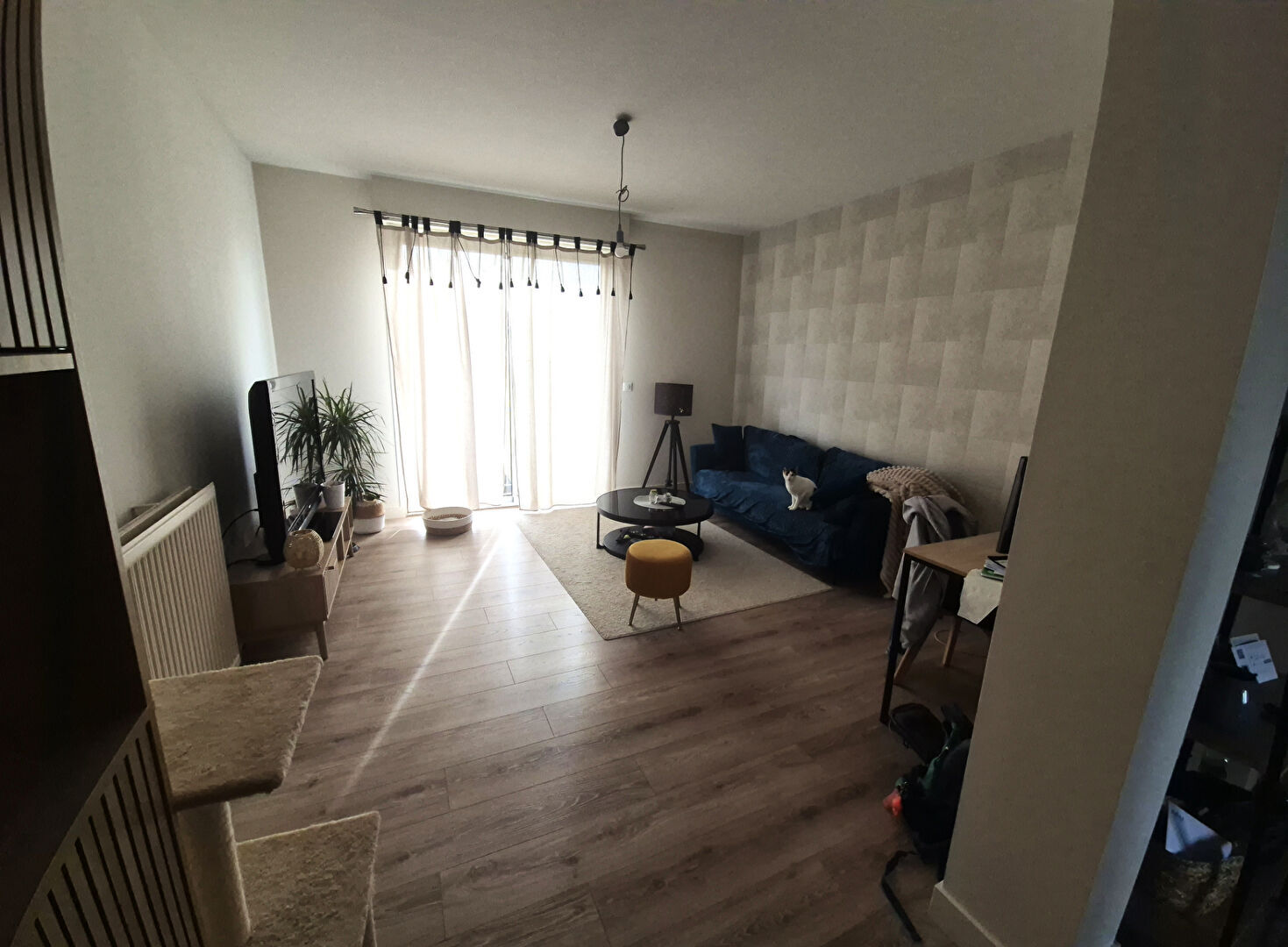 Appartement  T3 à louer Pau 64000