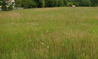 Terrain  533 m² à vendre à Pisany (17600)