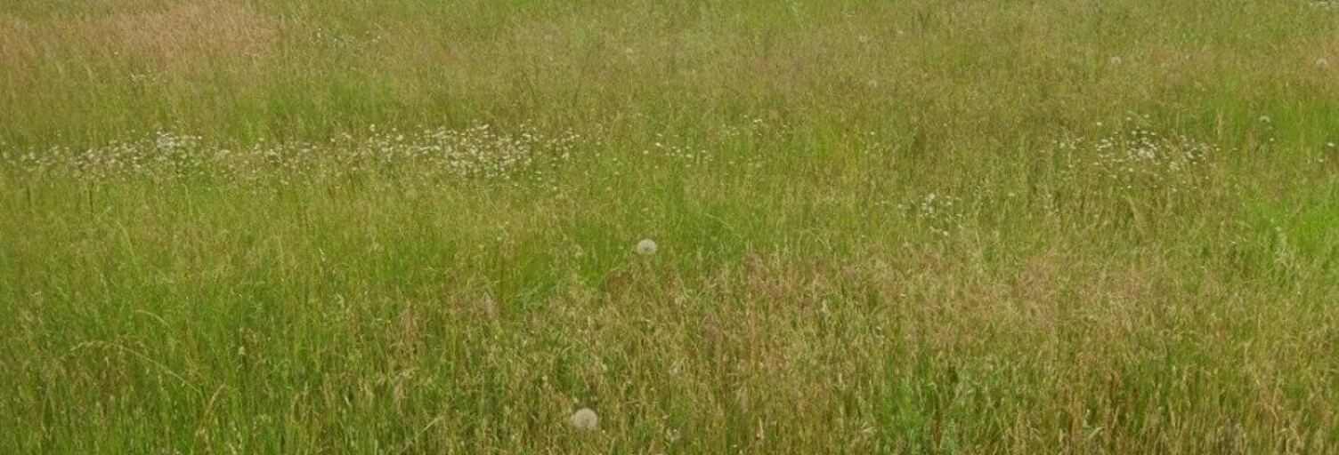 Terrain  533 m² à vendre à Pisany (17600)