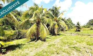 Maison 3 Pièces 88 m² à vendre à Matoury (97351)