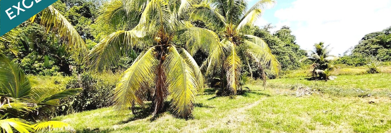 Maison 3 Pièces 88 m² à vendre à Matoury (97351)