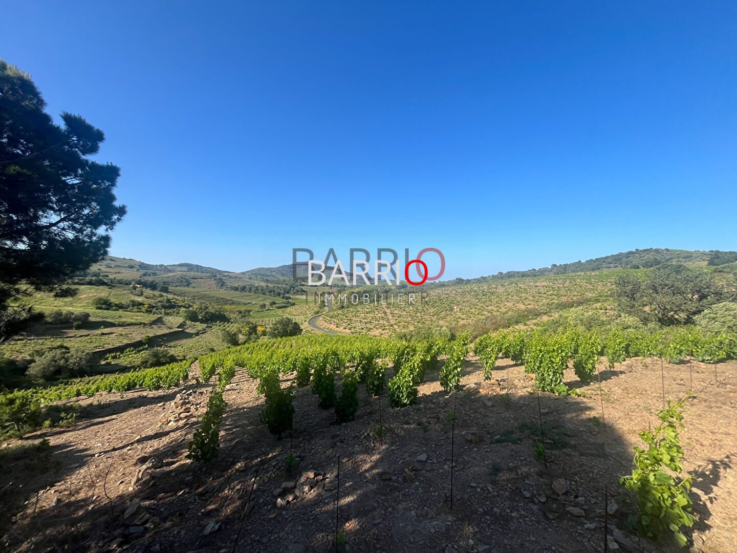 Appartement  T2 à vendre Port-Vendres 66660