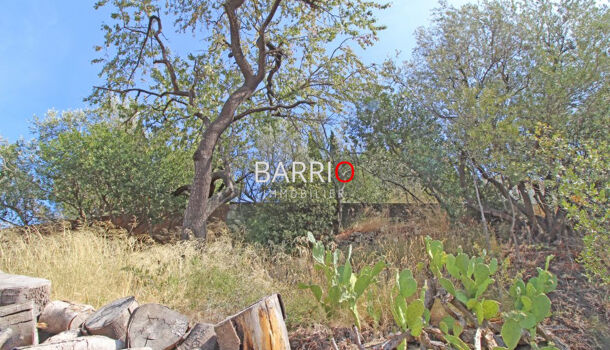 Appartement 4 pièces  à vendre Collioure 66190