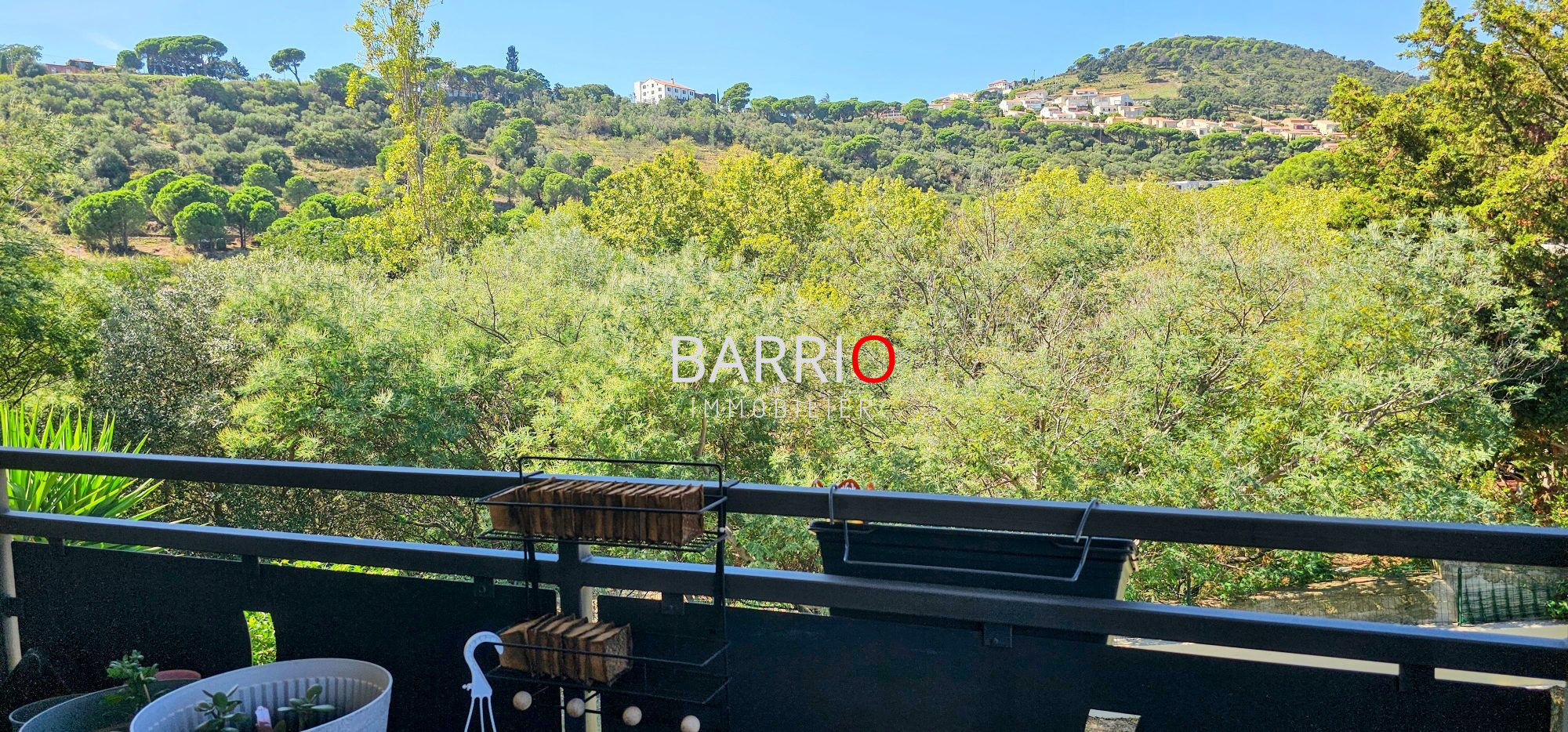 Appartement  T3 à vendre Banyuls-sur-Mer 66650