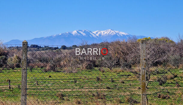 Villa / Maison 4 pièces  à vendre Théza 66200