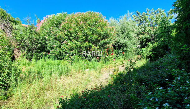 Villa / Maison 13 pièces  à vendre Banyuls-sur-Mer 66650