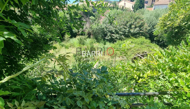 Villa / Maison 13 pièces  à vendre Banyuls-sur-Mer 66650