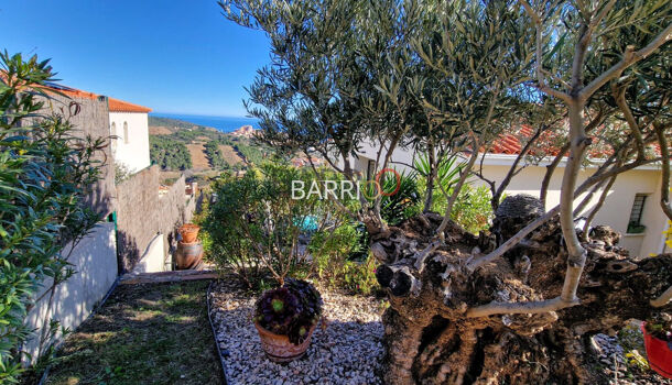 Villa / Maison 7 pièces  à vendre Banyuls-sur-Mer 66650
