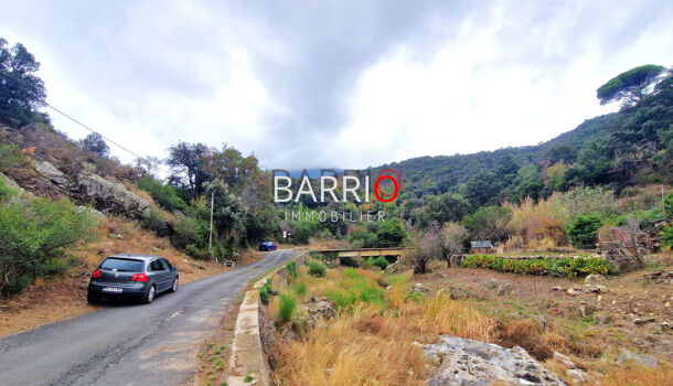 Villa / Maison 5 pièces  à vendre Collioure 66190
