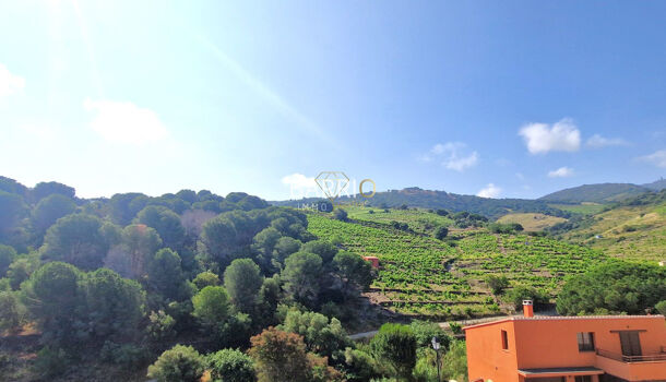 Villa / Maison 7 pièces  à vendre Collioure 66190