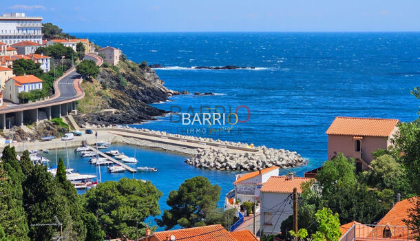 Villa / Maison 10 pièces  à vendre Cerbère 66290