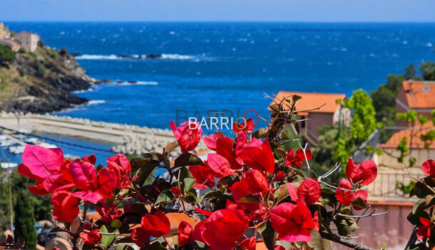 Villa / Maison 10 pièces  à vendre Cerbère 66290