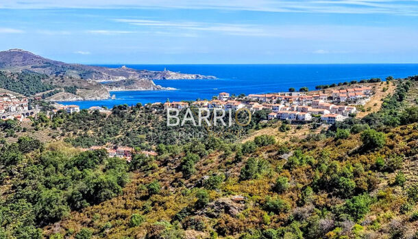 Villa / Maison 8 pièces  à vendre Banyuls-sur-Mer 66650