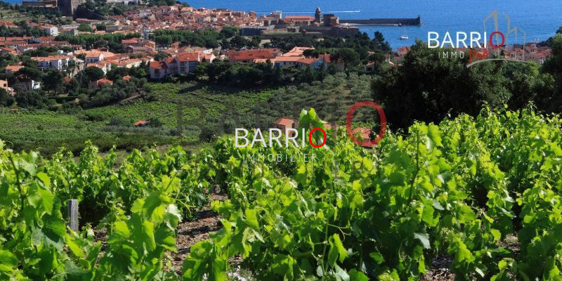 Villa / Maison  T1 à vendre Collioure 66190