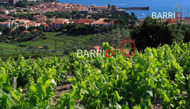 Villa / Maison 1 pièces  à vendre Collioure 66190